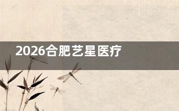 2026合肥艺星医疗美容报价表更新：双眼皮|鼻子|胸|吸脂|注射|皮肤项目价格